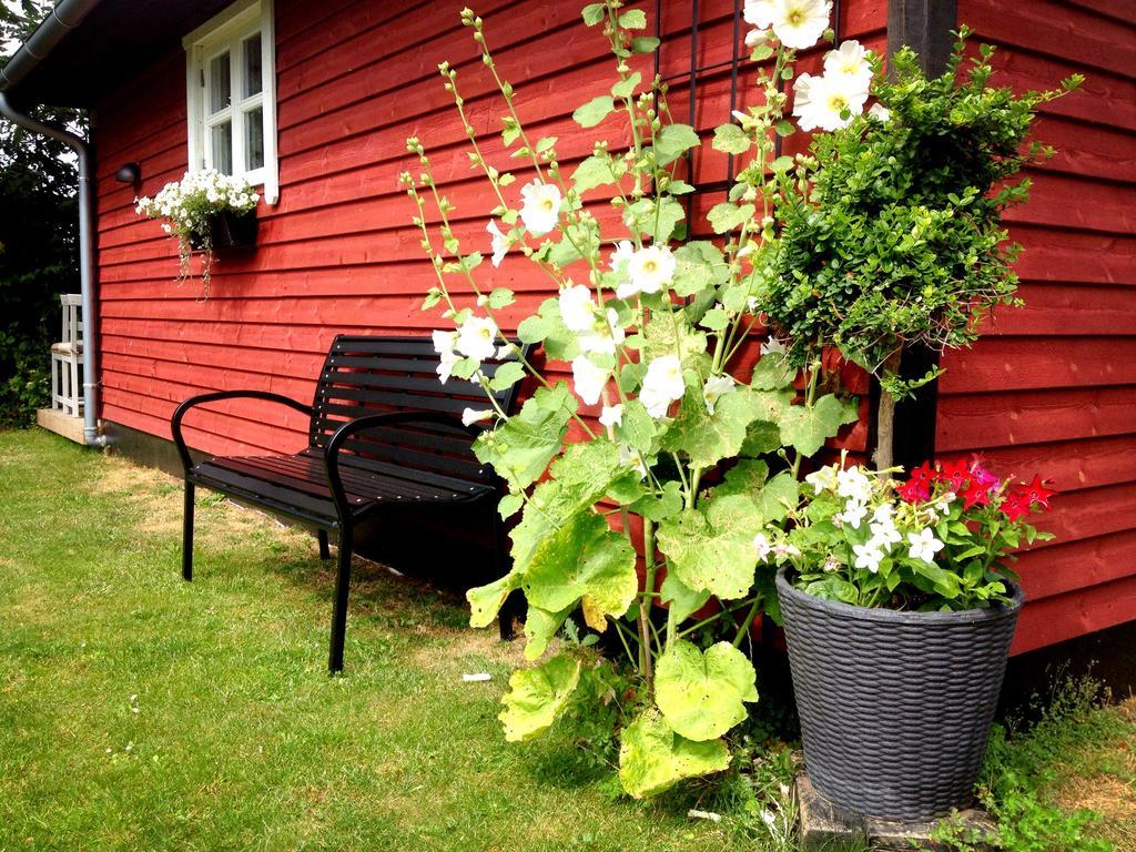 Olholm Cottage Stege Camera foto