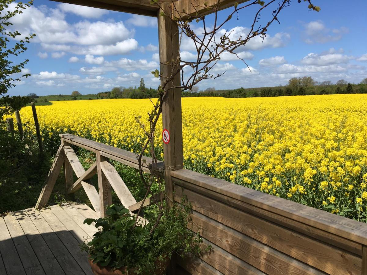 Olholm Cottage Stege Esterno foto